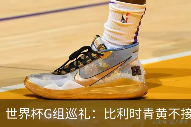 世界杯G组巡礼：比利时青黄不接 伊朗赴美参赛风波不断