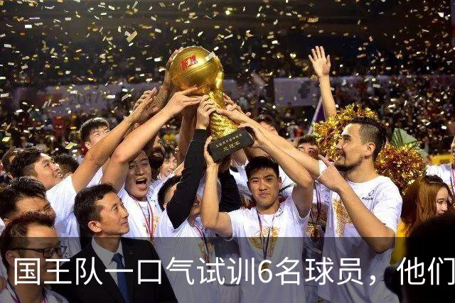国王队一口气试训6名球员，他们多半可能沦为落选秀？